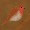 Image 429543