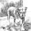 Image 30346