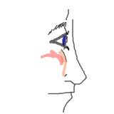 The One Million Masterpiece Arts Project