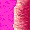 Image 527192