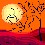 Image 1562