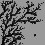 Image 9943