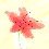 Image 11058