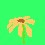 Image 13162