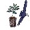 Image 13425
