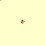 Image 13986