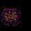 Image 14554