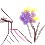Image 17058