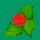 Image 21017