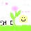 Image 24794