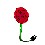 Image 25564