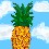 Image 25976