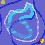 Image 26884