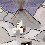 Image 29298