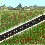 Image 30731