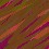 Image 38392