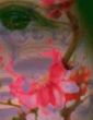 Artist - Crazy7Hei Op.760